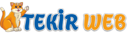 Tekir Web Tasarım E-Ticaret Teması